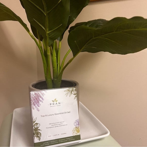 New! Certified Organic Sense 8 Luxury Essential Oil Set Therapeutic Grade 10 ml - Picture 2 of 4